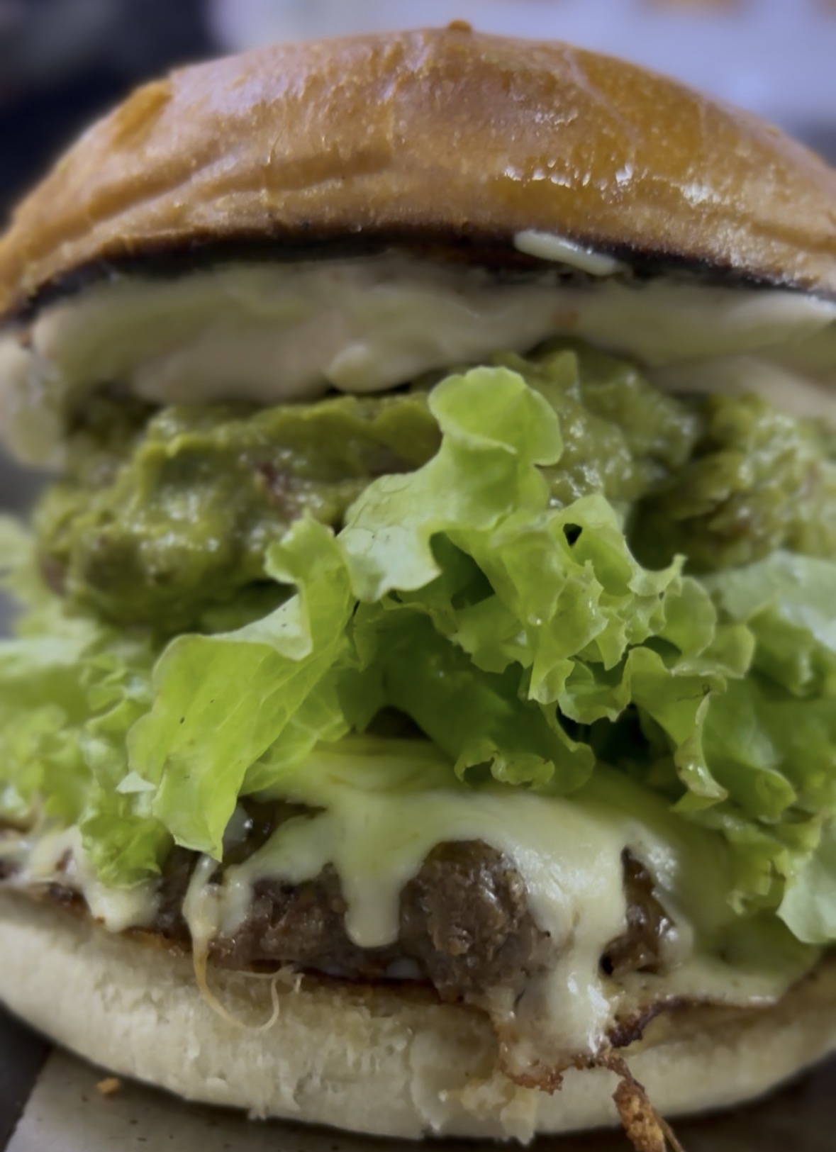 HAMBURGUESA SPICY BURGER 